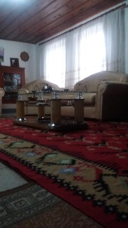 Eva Guesthouse Gjirokaster Bagian luar foto